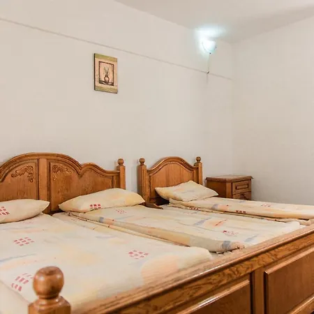 Alex - Dumbrava Minunata Hostel *
